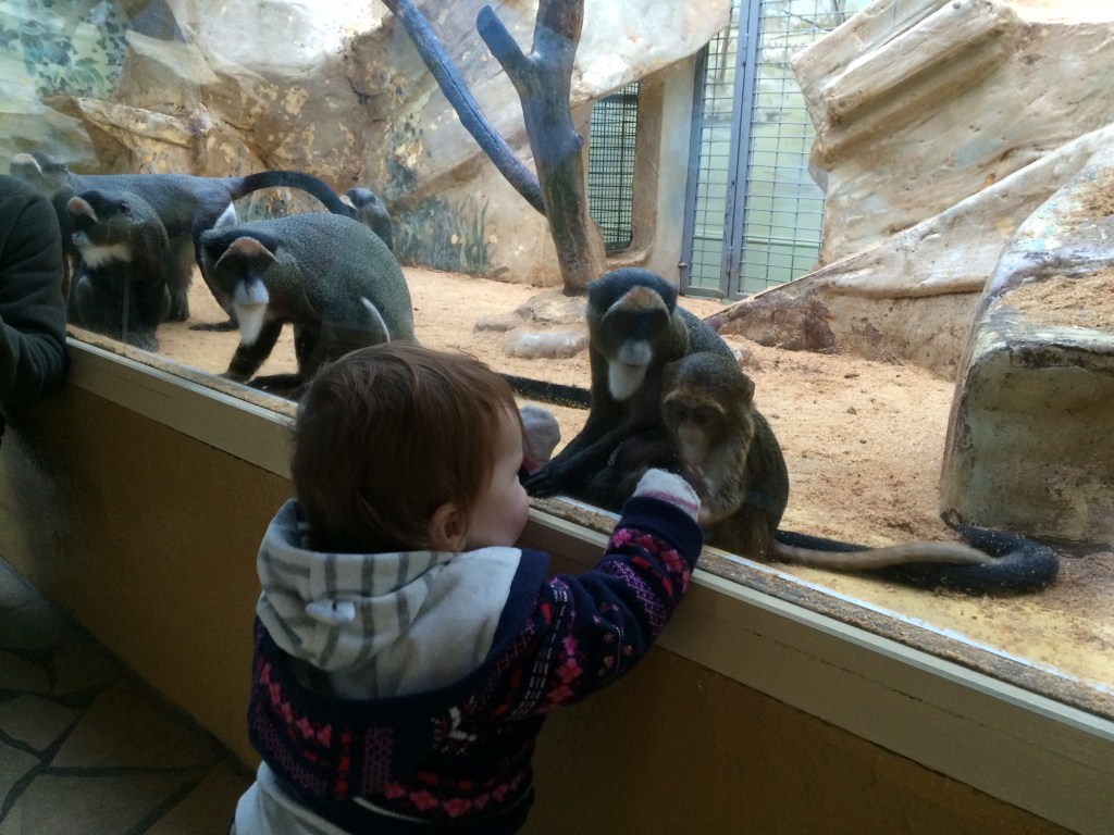 Meeting the ancestors