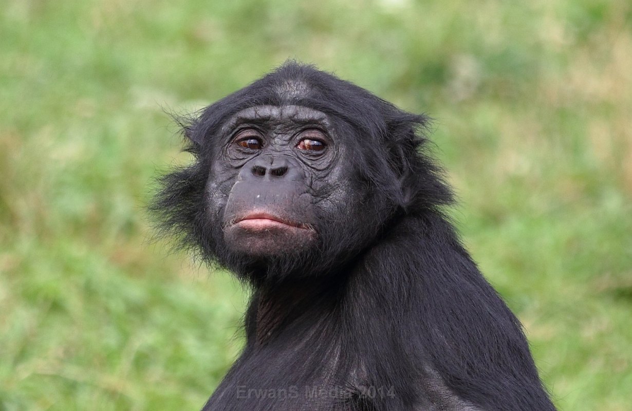 © www.erwans-photo.com